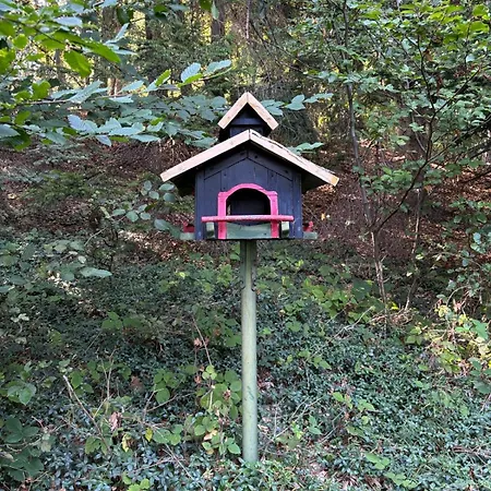 Waldpoesie - Wald-cottage