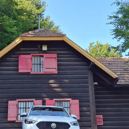 Waldpoesie - Wald-cottage Ferienhaus *