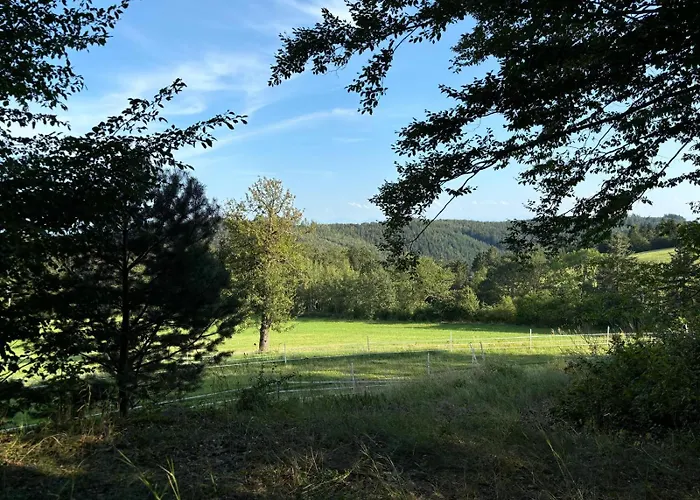 Waldpoesie - Wald-cottage Ferienhaus *
