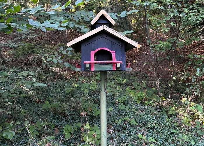 Waldpoesie - Wald-cottage